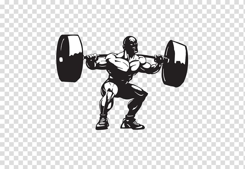 Powerlifting transparent background PNG clipart