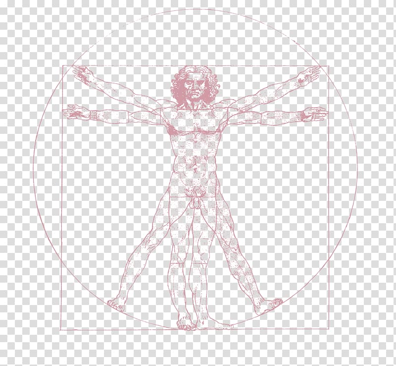 Vitruvian Man Drawing Art Sketch, vi transparent background PNG clipart