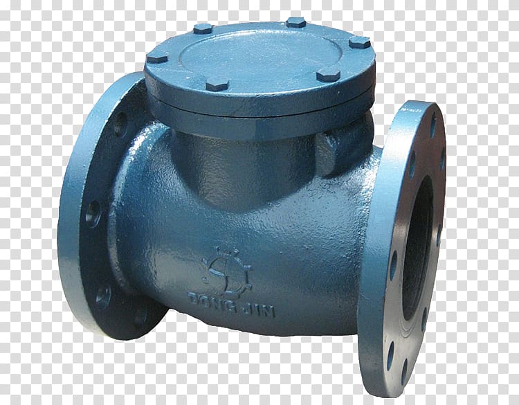 Stainless steel Check valve Nominal Pipe Size, Dong Nguyen transparent background PNG clipart