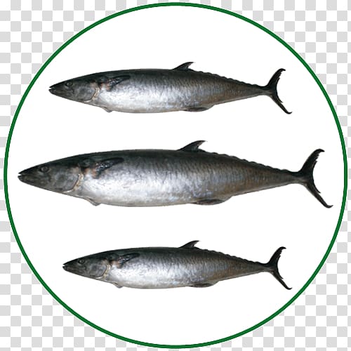Sardine Pacific saury Salmon Mackerel Fish products, fish transparent background PNG clipart