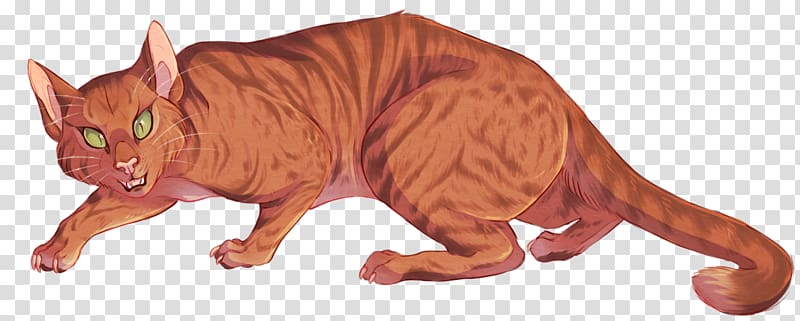 Whiskers Kitten Domestic short-haired cat Tabby cat, kitten transparent background PNG clipart