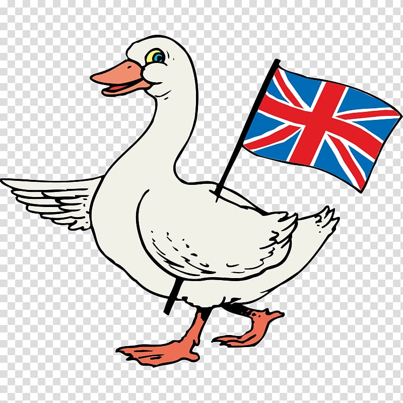 Canada Goose Bird Coloring book Duck, goose transparent background PNG clipart