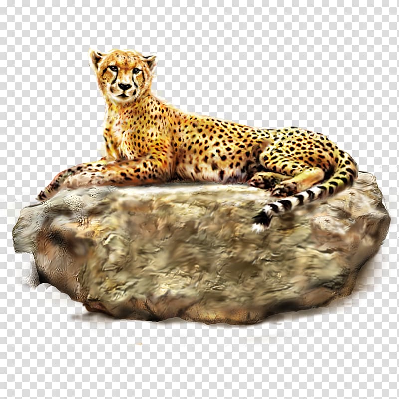 cheetah reclining on rock formation, Cheetah Leopard Lion Tiger, Cheetah transparent background PNG clipart