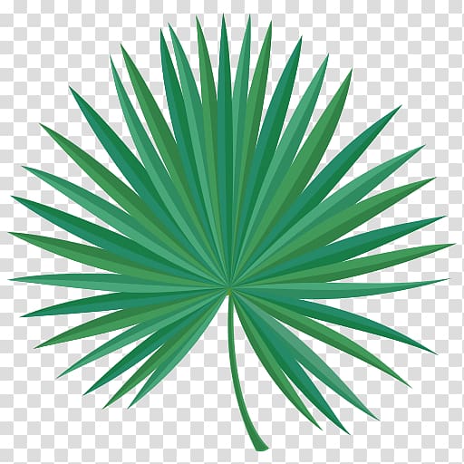 Green Saw palmetto extract Line Leaf, line transparent background PNG clipart