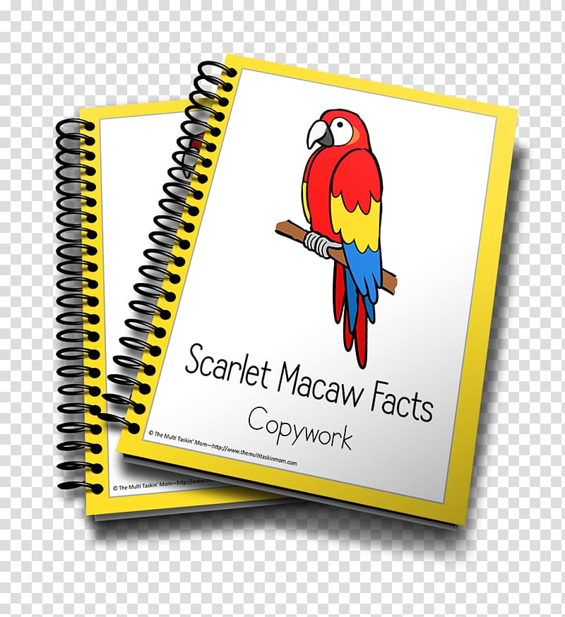 Pre-kindergarten Pre-school The Brain-Friendly Workplace: 5 Big Ideas from Neuroscience to Address Organizational Challenges Homeschooling Learning, Scarlet Macaw transparent background PNG clipart
