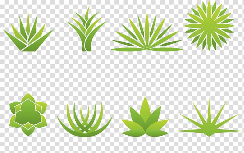 green leaves , Aloe vera Agave Logo, Various forms of aloe transparent background PNG clipart
