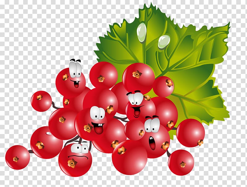 Frutti di bosco Redcurrant Fruit Vegetable, Raspberry villain transparent background PNG clipart