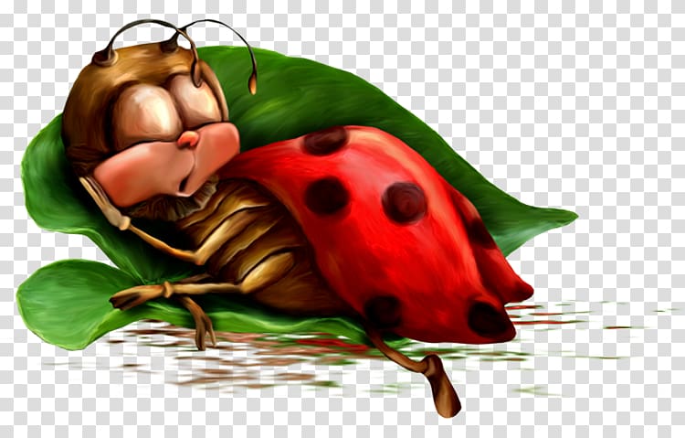 Night Animation Morning , ladybug transparent background PNG clipart