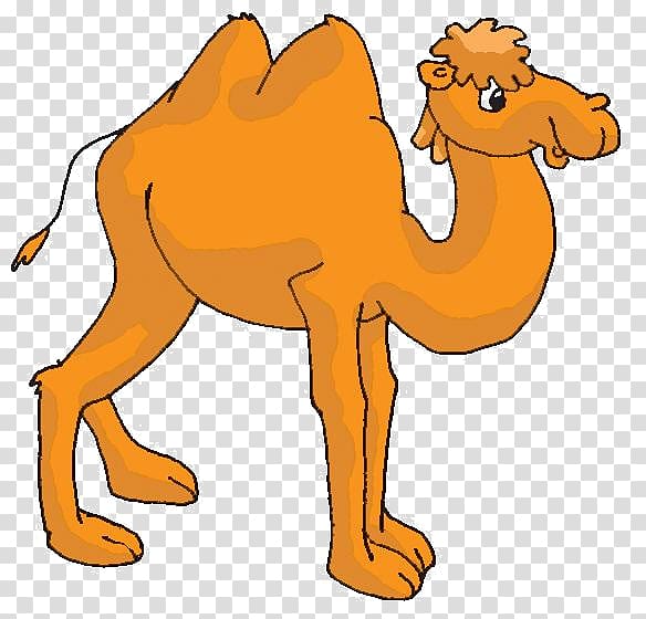 Dromedary Bactrian camel Animal Сорочьи сказки Fairy tale, others transparent background PNG clipart