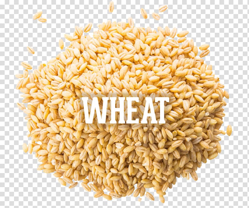 Spelt Vegetarian cuisine Rice cereal Whole grain, wheat transparent background PNG clipart