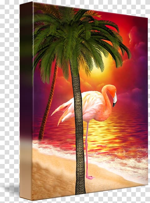 Flamingos Beach Sanibel Bird, Paradise beach transparent background PNG clipart