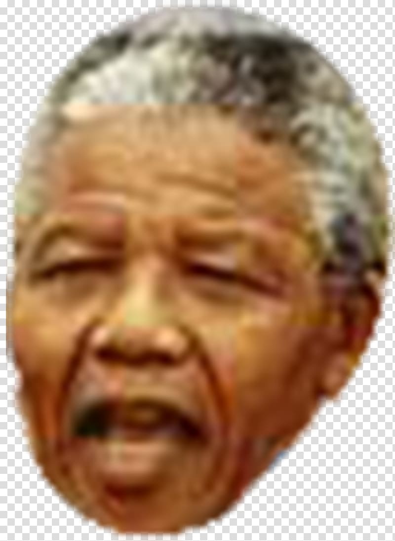 Mandela House Nelson Mandela Apartheid Revolutionary President of South Africa, nelson mandela transparent background PNG clipart
