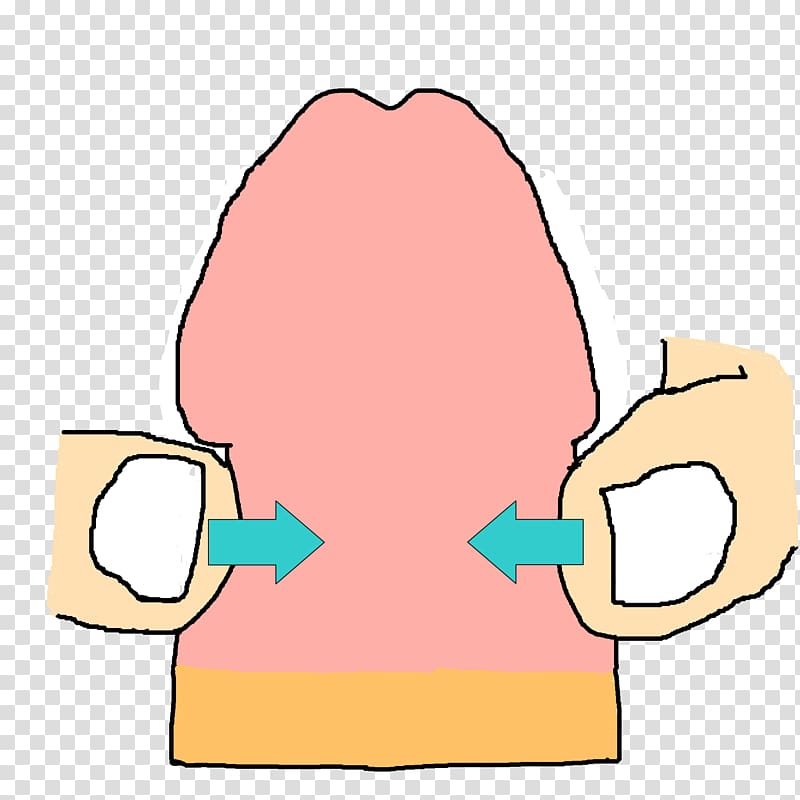 Phimosis Sexual intercourse Masturbation Sex education 熟女, chin template transparent background PNG clipart Phimosis Sexual intercourse Masturbation Sex education 熟女, chin template transparent background PNG clipart