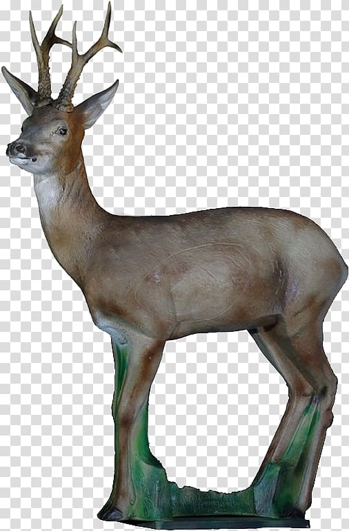Roe deer Elk Red deer White-tailed deer, deer transparent background PNG clipart