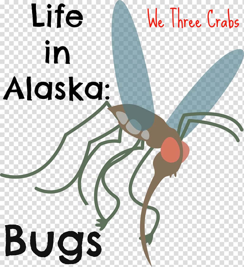 Fly Insect Ketchikan Aedes albopictus , we are moving transparent background PNG clipart