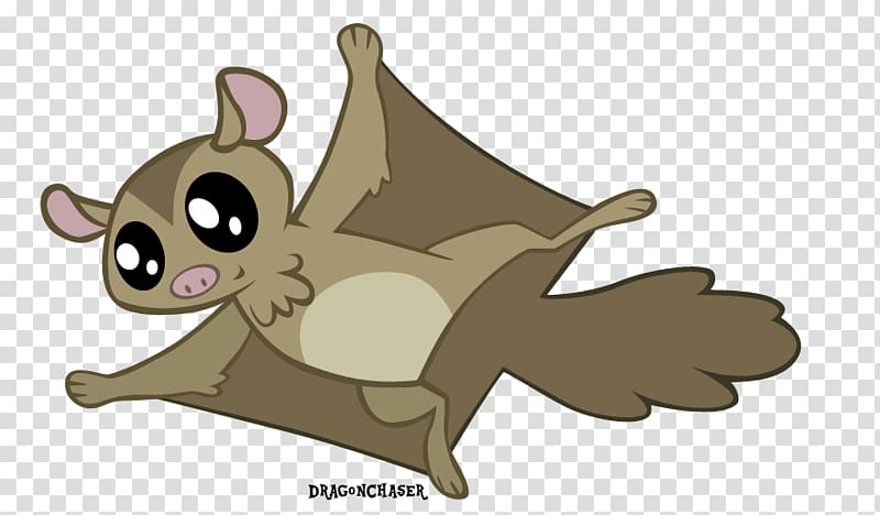 Rainbow Dash Flying squirrel Bat Rodent, squirrel transparent background PNG clipart