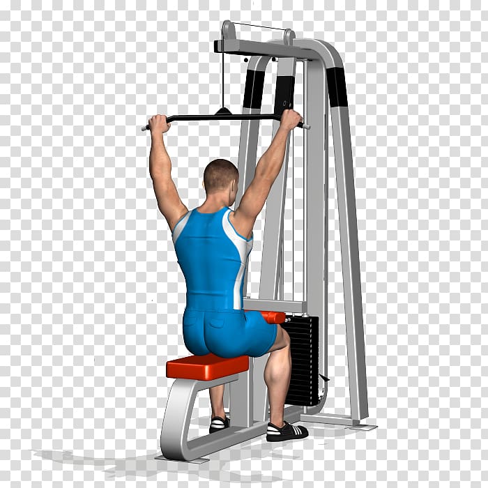 Pulldown exercise Weight training Latissimus dorsi muscle, Neck muscle transparent background PNG clipart