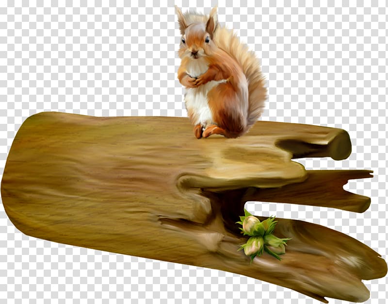 Wood Squirrel, Uq transparent background PNG clipart