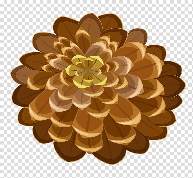 Pine cone transparent background PNG clipart