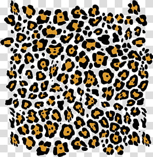 Black Transparent Leopard Print Background, Instant Digital