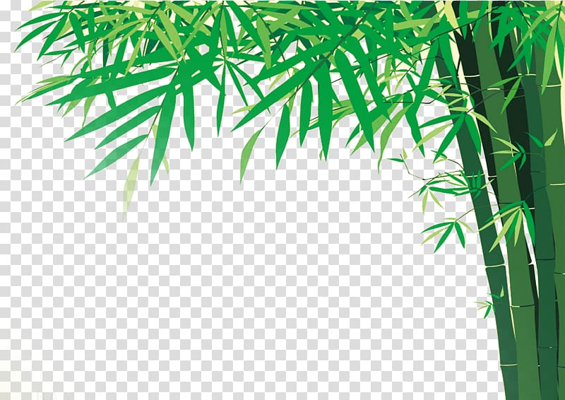 bamboo tree border