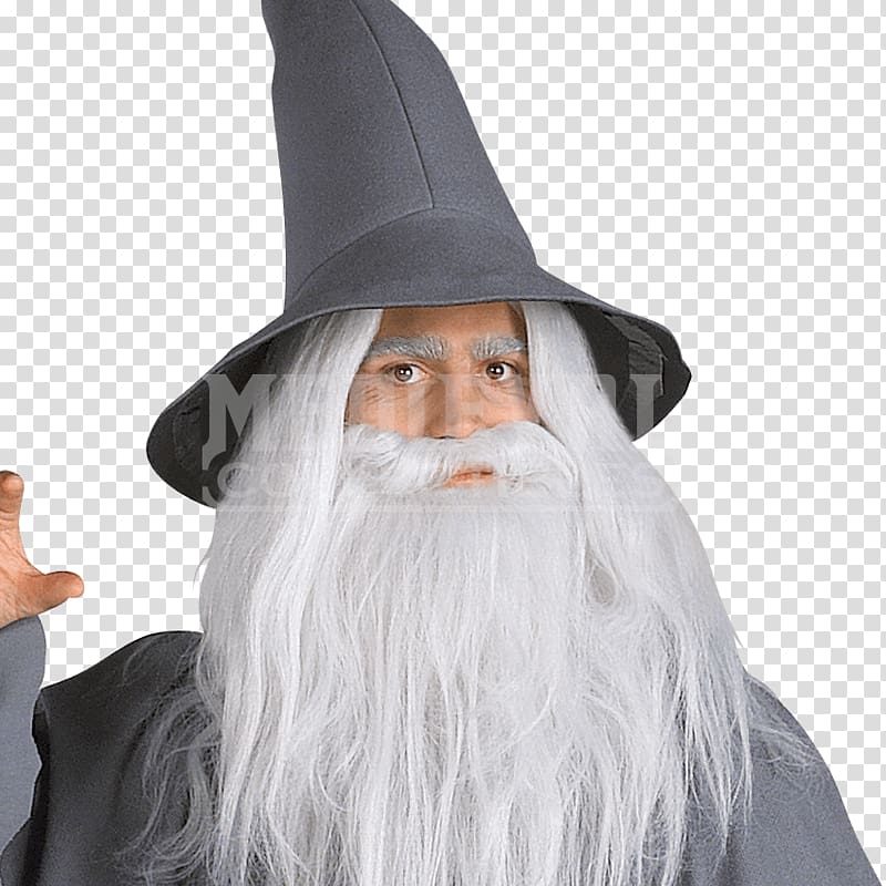 Gandalf The Lord of the Rings: The Fellowship of the Ring Frodo Baggins Costume The Hobbit, the hobbit transparent background PNG clipart