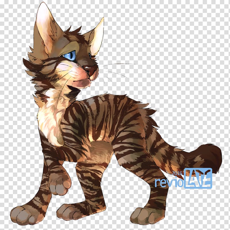 Into the Wild Warriors Littlecloud Whiskers ShadowClan, Cat transparent background PNG clipart