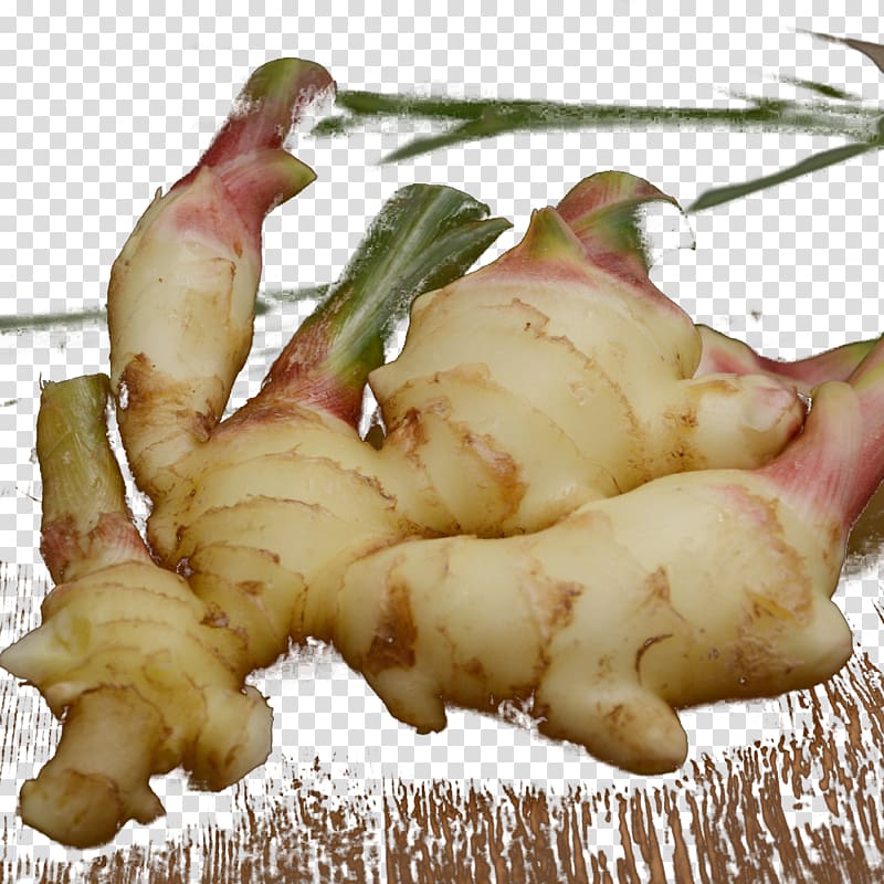 Root Vegetables Ginger Galangal , Ginger hair teeth transparent background PNG clipart