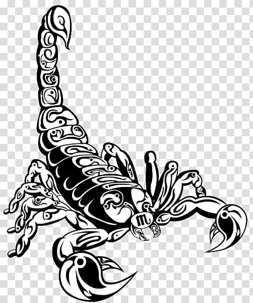 Sketch work style scorpion tattoo on the left forearm