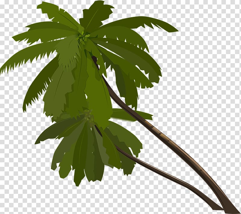 Arecaceae , fundo do mar transparent background PNG clipart