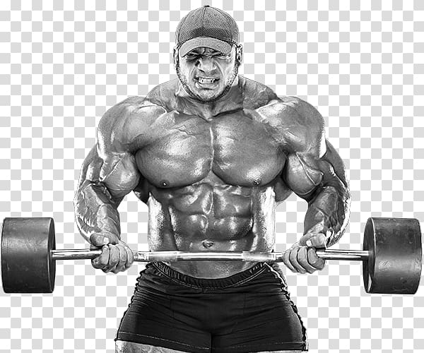 Arnold Sports Festival Professional bodybuilding New York Pro Championship Male, bodybuilding transparent background PNG clipart