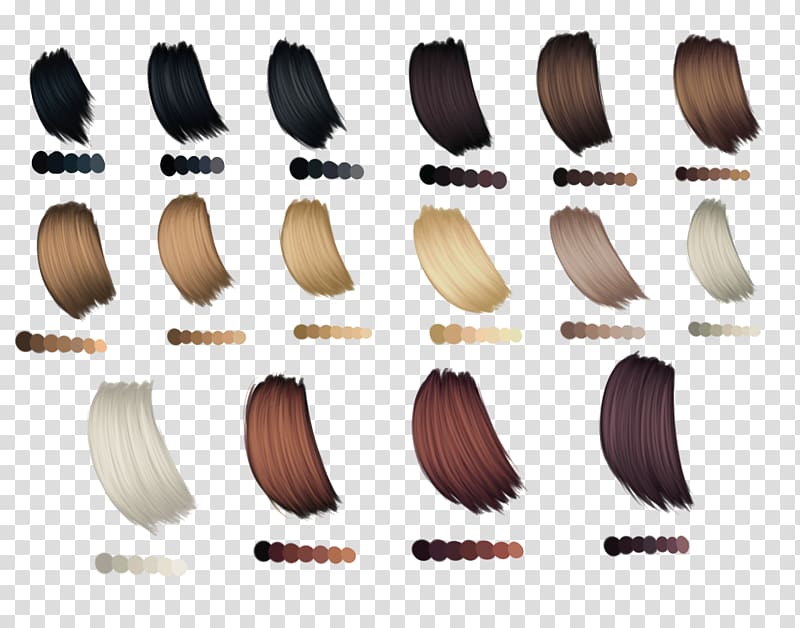 Hair coloring Palette Human hair color, hair transparent background PNG clipart