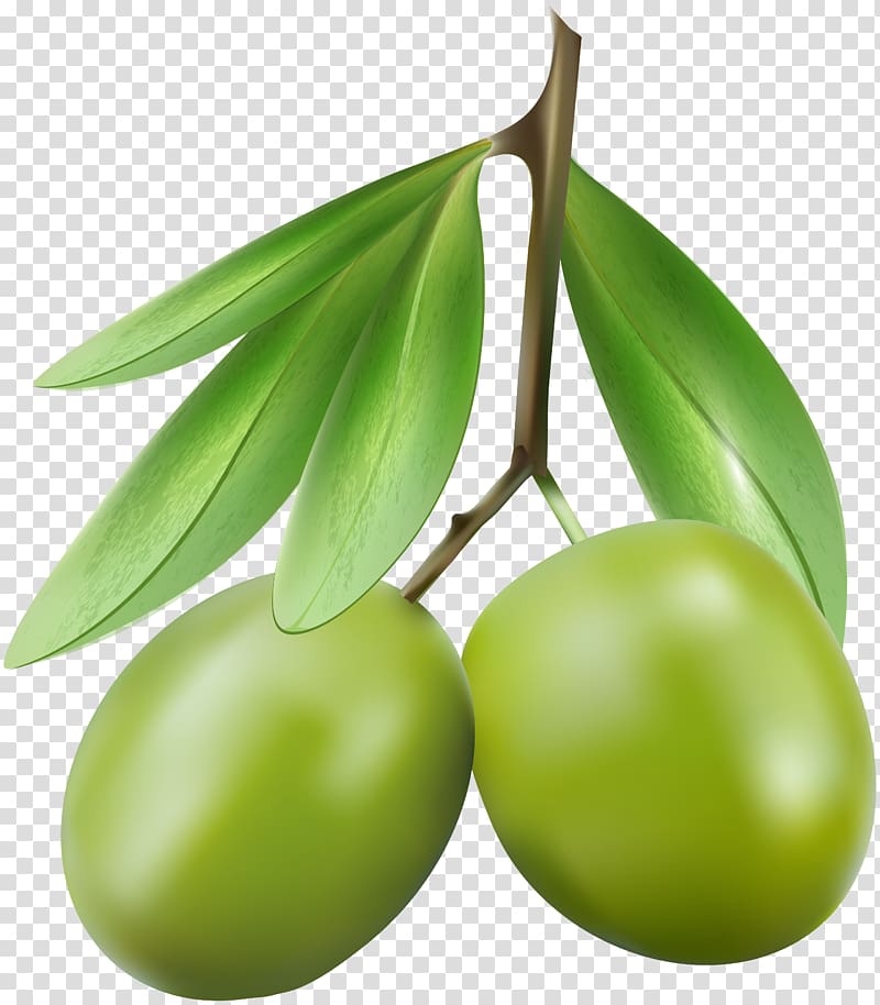 olives illustration, Olive Rose , Green Olives transparent background PNG clipart