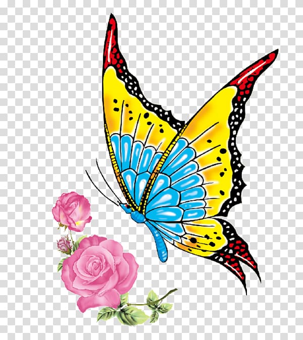 Butterfly Sticker , dragon fly transparent background PNG clipart