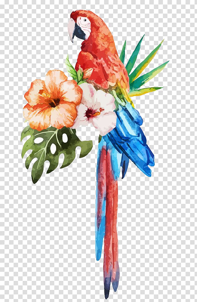 red and blue parrot painting, Parrot Bird Watercolor painting , Parrot watercolor flowers transparent background PNG clipart
