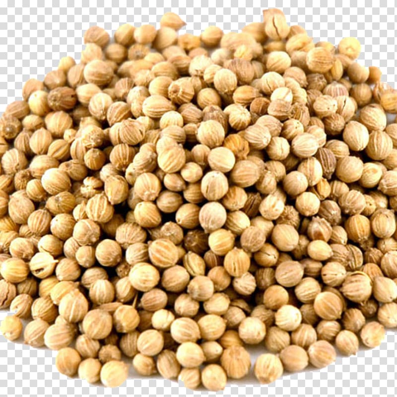Coriander seed Gin Food, Coriander seed transparent background PNG clipart