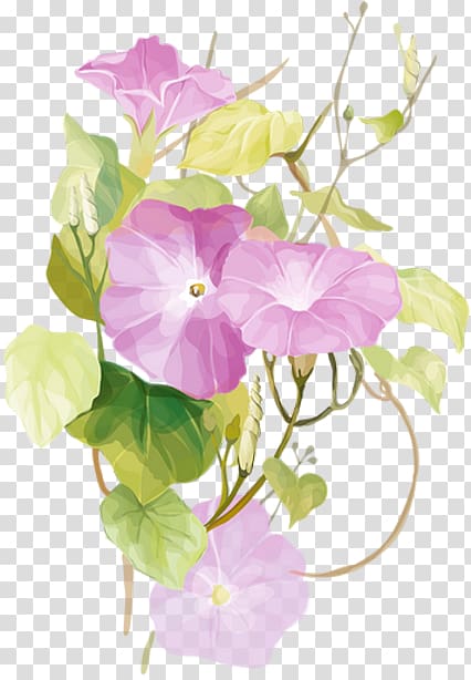 Morning glory Ipomoea nil Watercolor painting Flower, flower transparent background PNG clipart