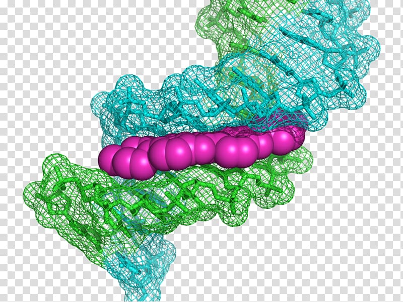 Hoechst AG Hoechst stain Bisbenzimide DNA Staining, Fluorophore transparent background PNG clipart