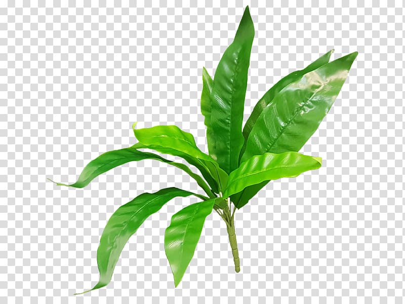 Leaf JMC Floral Artificial flower Fern Plant stem, Leaf transparent background PNG clipart