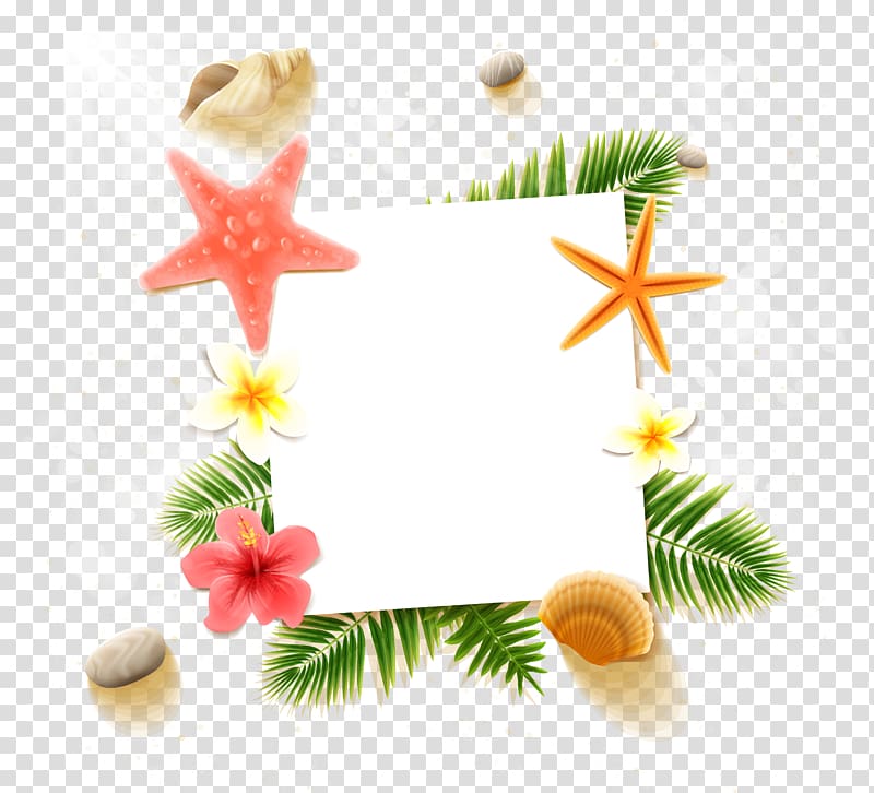 flowers and sea shell illustration, Cephalonia Beach, Fresh beach paper transparent background PNG clipart