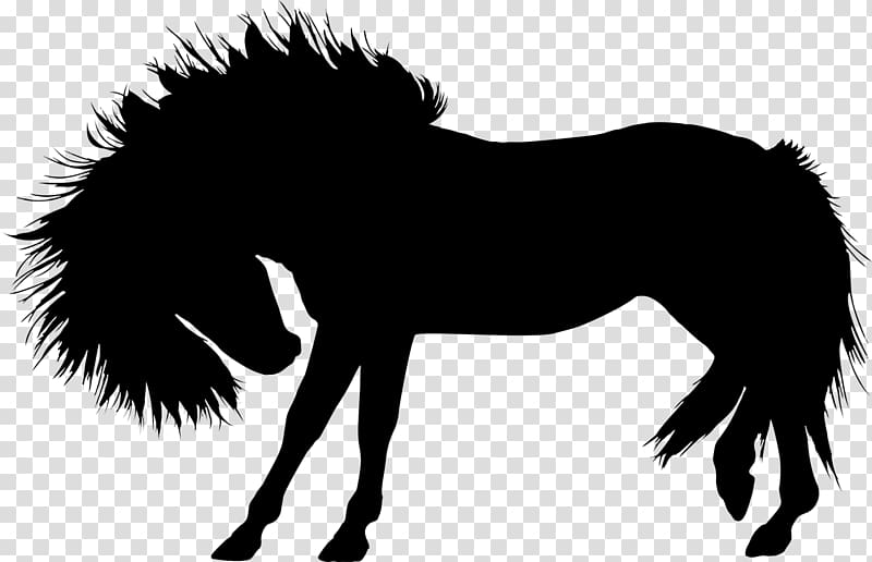 Wild horse Stallion Foal Pony, horse riding transparent background PNG clipart