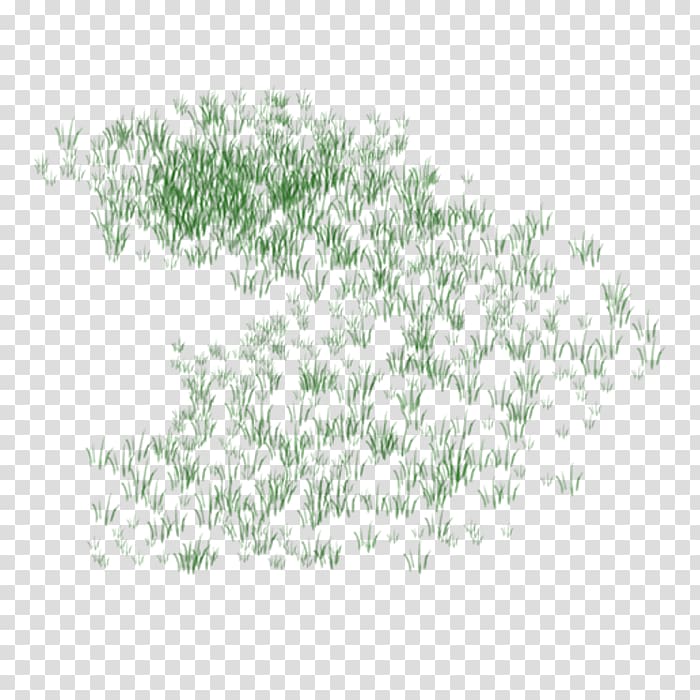 Grass Lawn Plant, grass transparent background PNG clipart