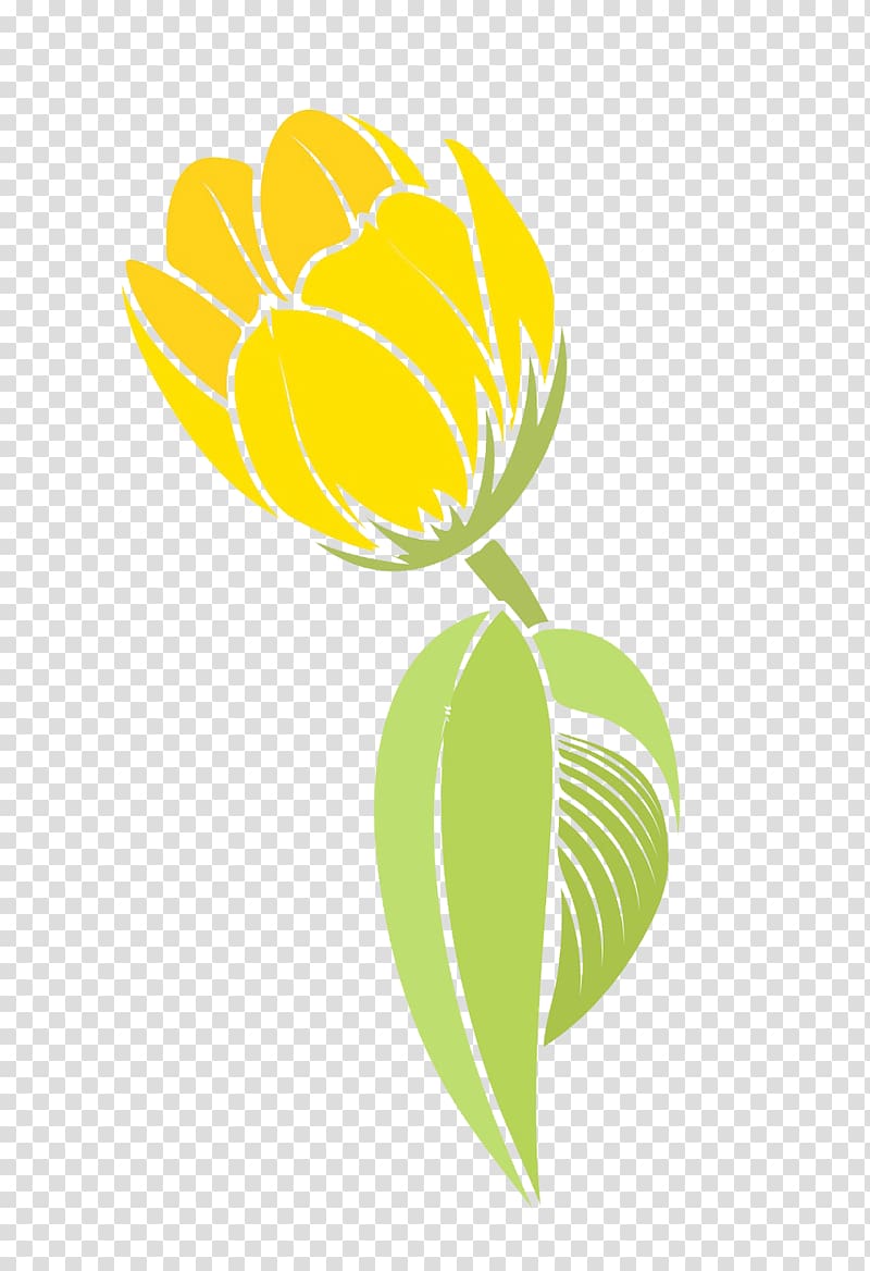 Tulip Flower Yellow, beauty yellow tulip material transparent background PNG clipart