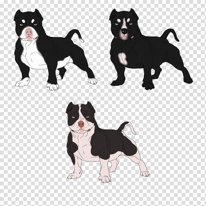 Boston Terrier Puppy Dog breed Non-sporting group Breed group (dog), puppy transparent background PNG clipart