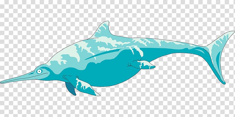 Rough-toothed dolphin graphics Ichthyosaur , shark transparent background PNG clipart