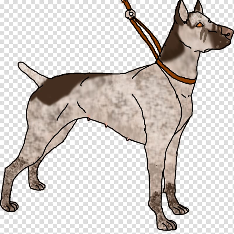 Dog breed Great Dane Jack Russell Terrier German Shepherd Border Collie, Cat transparent background PNG clipart
