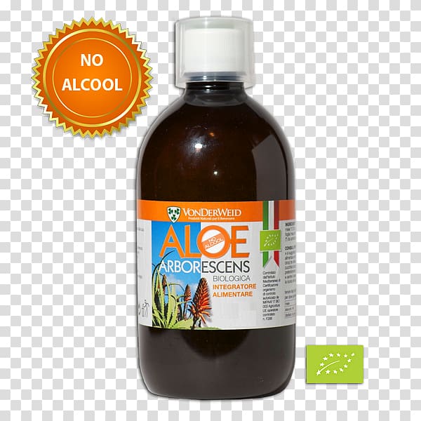 Dietary supplement Candelabra aloe Aloe vera Plants Species, aloe arborescens transparent background PNG clipart