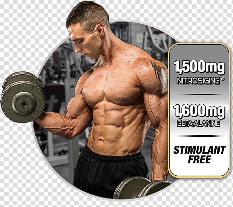 Dietary supplement MuscleTech Bodybuilding supplement Nitric oxide Anabolic steroid, vein in kind transparent background PNG clipart