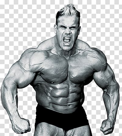 Bodybuilding transparent background PNG clipart