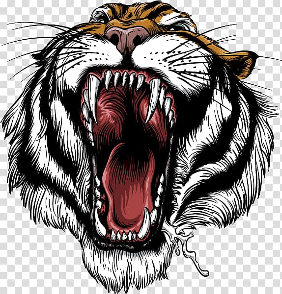 Roar Bengal tiger Siberian Tiger White tiger, catalog transparent background PNG clipart